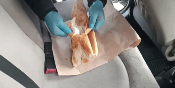 Ekmeğin içinden çıkanlar şoke etti! Beslemeyin idam edin bunları 