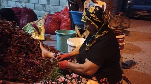 Foto - Ekmek paralarını acıdan çıkarıyorlar