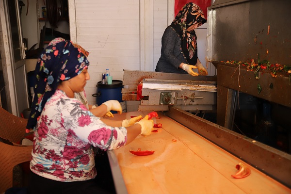 Foto - Ekmek paralarını acıdan çıkarıyorlar