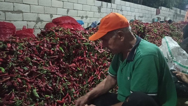 Ekmek paralarını acıdan çıkarıyorlar