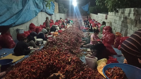 Foto - Ekmek paralarını acıdan çıkarıyorlar