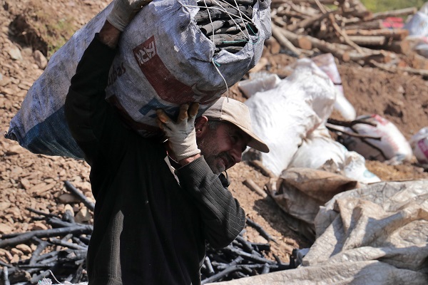Foto - Ekmek parası için 1800 rakımlı yaylada 5 aylık mesai
