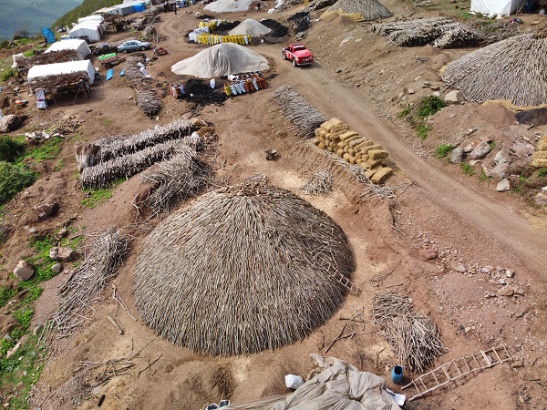 Foto - Ekmek parası için 1800 rakımlı yaylada 5 aylık mesai