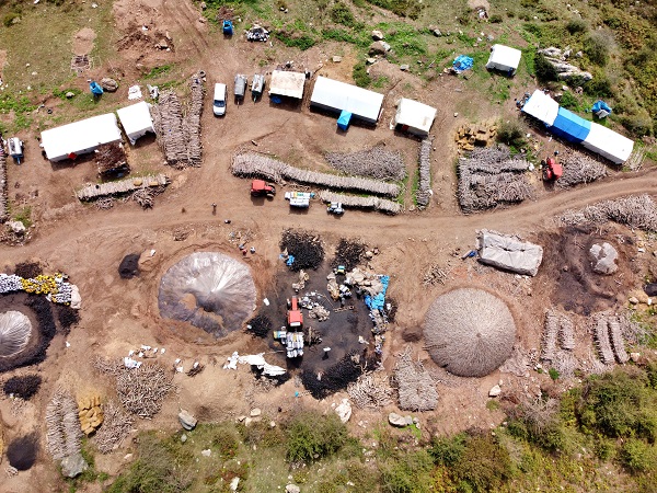 Foto - Ekmek parası için 1800 rakımlı yaylada 5 aylık mesai