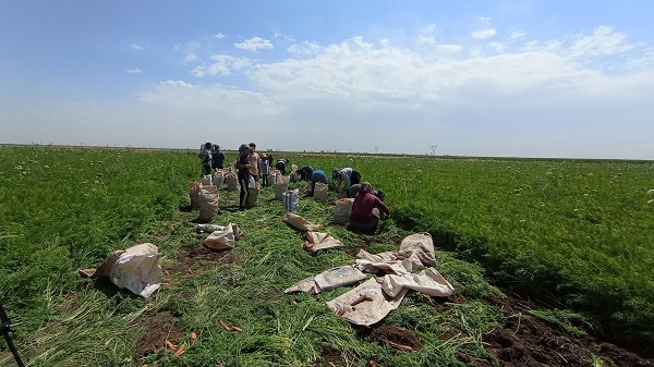 Ekmek parası için 40 derece mücadele