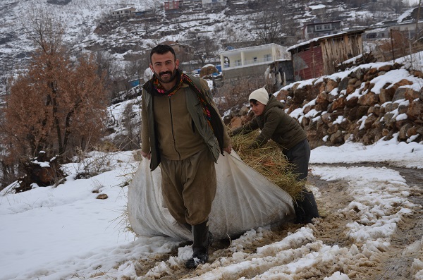 Foto - Ekmek parası için yazın ayrı kışın ayrı mücadele ediyorlar