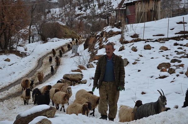 Foto - Ekmek parası için yazın ayrı kışın ayrı mücadele ediyorlar