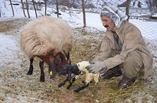 Foto - Ekmek parası için yazın ayrı kışın ayrı mücadele ediyorlar