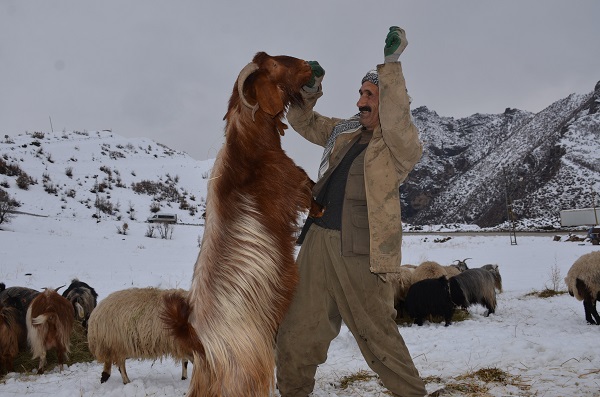 Foto - Ekmek parası için yazın ayrı kışın ayrı mücadele ediyorlar