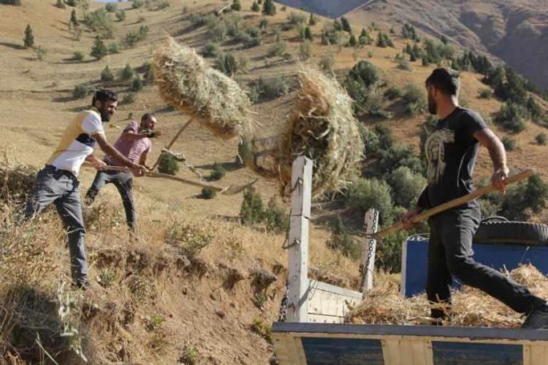 Foto - Ekmek parası için zorlu yolculuk