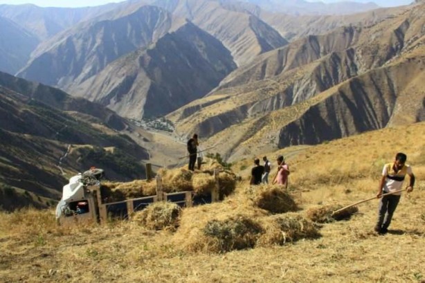 Foto - Ekmek parası için zorlu yolculuk