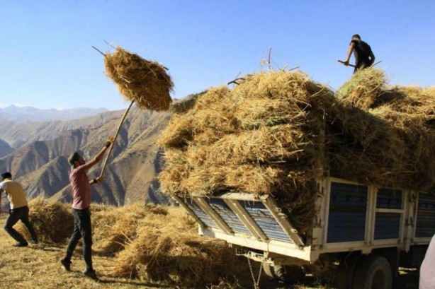 Foto - Ekmek parası için zorlu yolculuk
