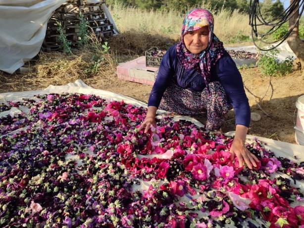 Foto - Ekmek su gibi kapış kapış satılıyor! İş arayana gelir kapısı