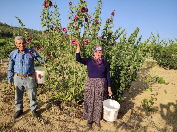 Foto - Ekmek su gibi kapış kapış satılıyor! İş arayana gelir kapısı