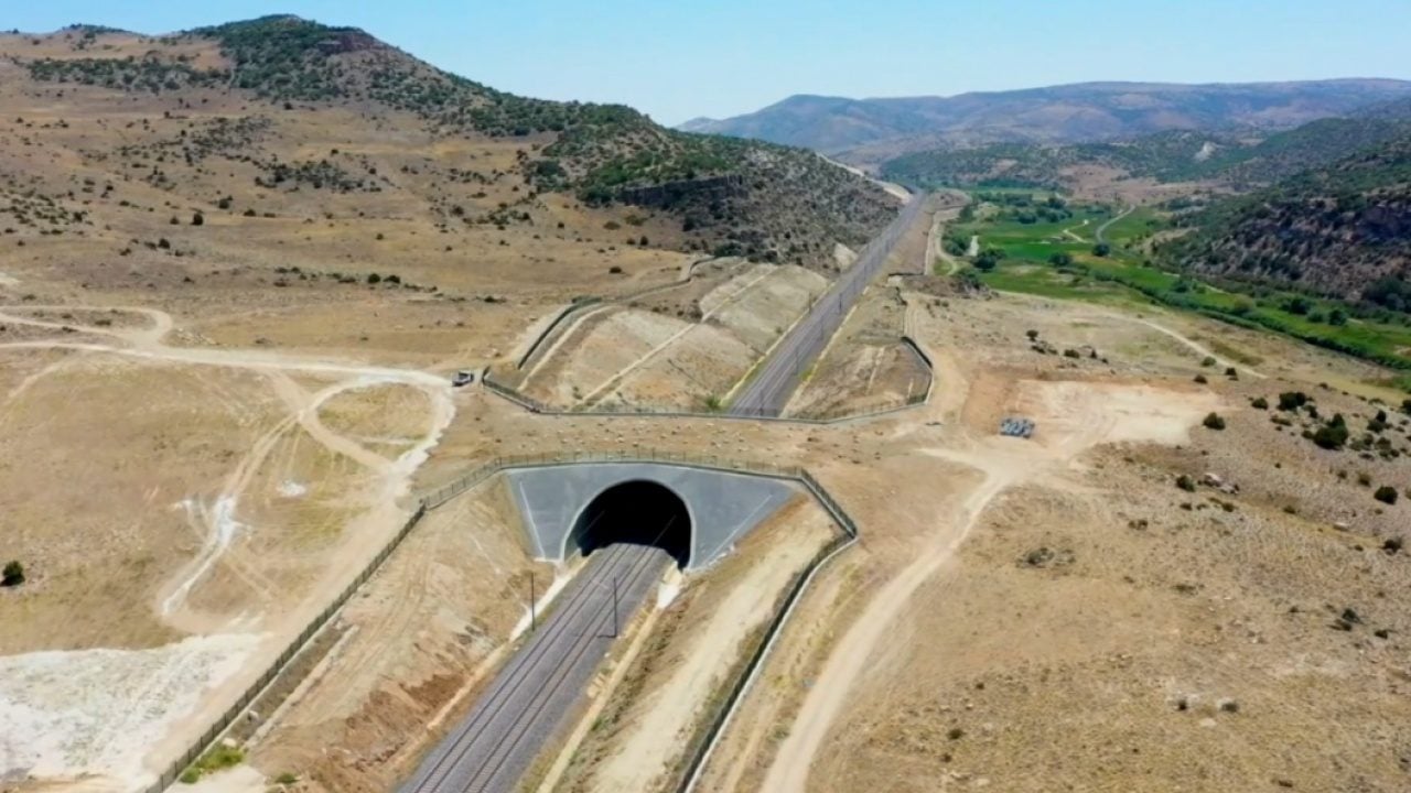Foto - Ekolojik köprülerden müthiş görüntüler! 21 tane yapıldı!