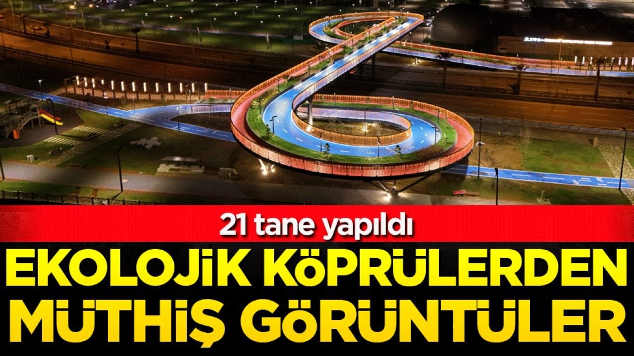 Ekolojik köprülerden müthiş görüntüler! 21 tane yapıldı!
