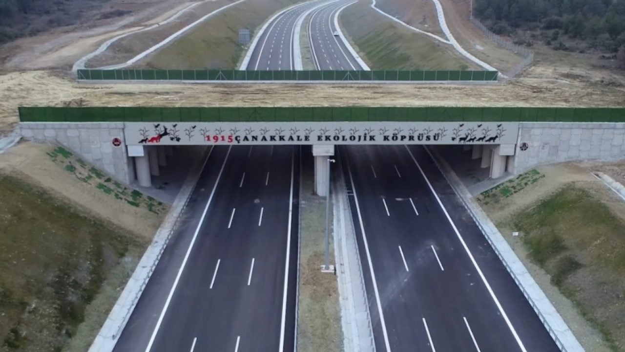 Foto - Ekolojik köprülerden müthiş görüntüler! 21 tane yapıldı!