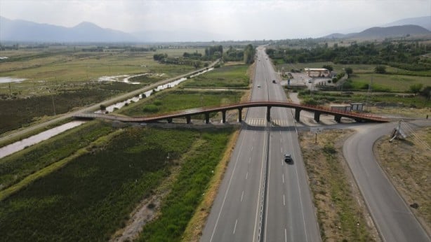 Foto - Ekolojik Üst Geçit hayvanları koruyor