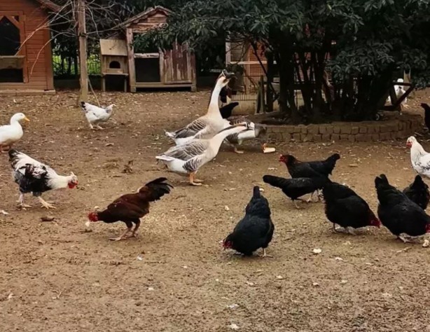 Foto - Ekranlara ara veren İlker Ayrık'ın yeni işi herkesi şok etti! Meğer bambaşka bir sektöre el atmış! Duyan şaşıp kalıyor