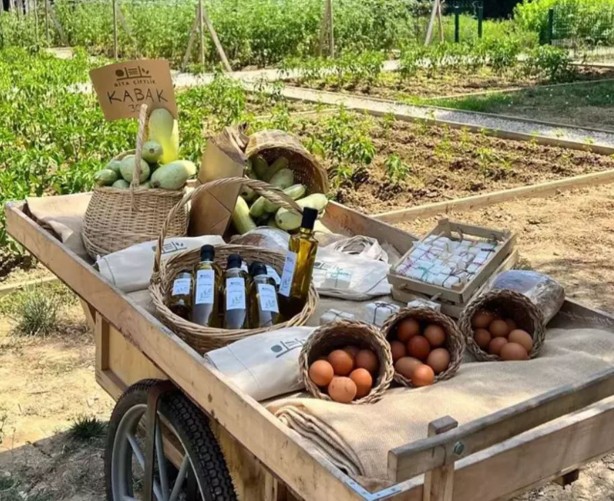 Foto - Ekranlara ara veren İlker Ayrık'ın yeni işi herkesi şok etti! Meğer bambaşka bir sektöre el atmış! Duyan şaşıp kalıyor