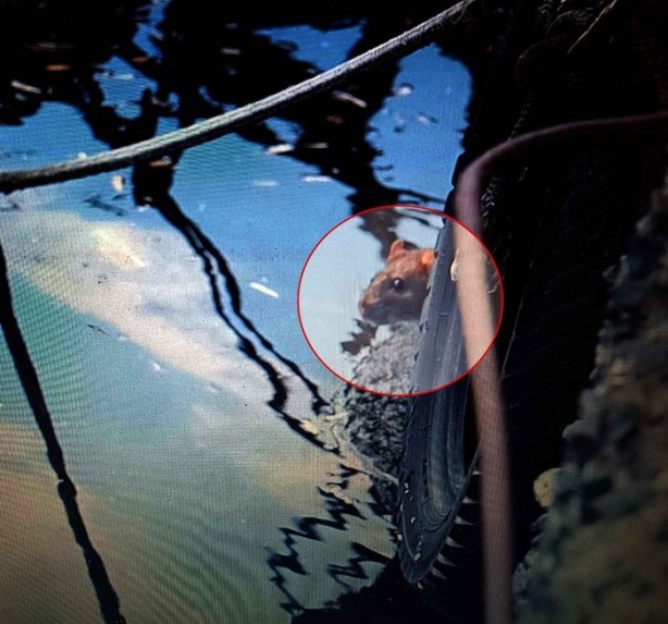 Foto - Ekrem İmamoğlu geldi böyle oldu! Haliç'te rezalet ötesi görüntüler