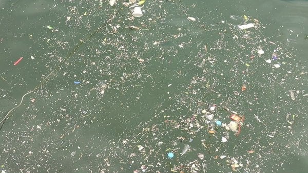 Foto - Ekrem İmamoğlu geldi böyle oldu! Haliç'te rezalet ötesi görüntüler