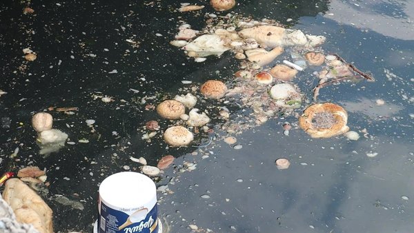 Foto - Ekrem İmamoğlu geldi böyle oldu! Haliç'te rezalet ötesi görüntüler