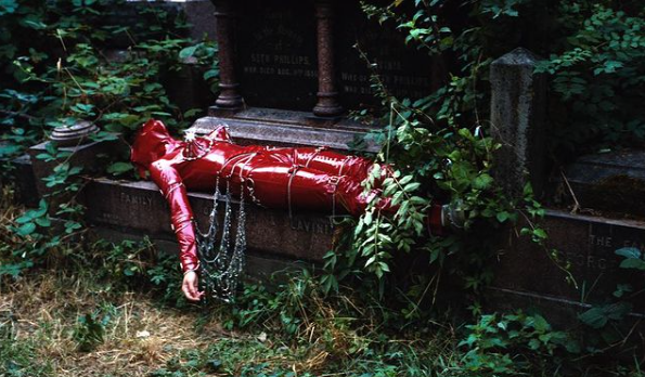 Foto - Fındıkoğlu'nun paylaşımları...