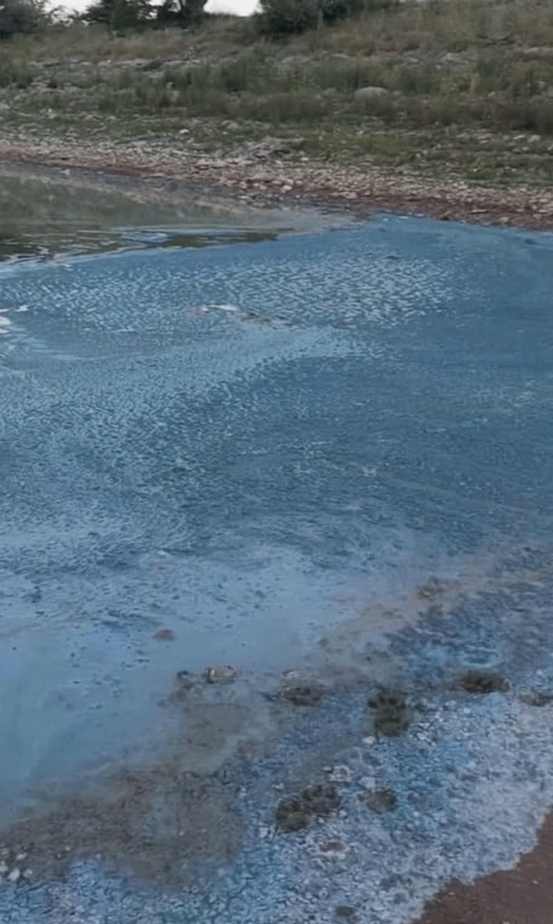 Foto - Ekrem yine uyudu! Suyun rengi değişti, balıklar ölmeye başladı! İnsanlar tedirgin