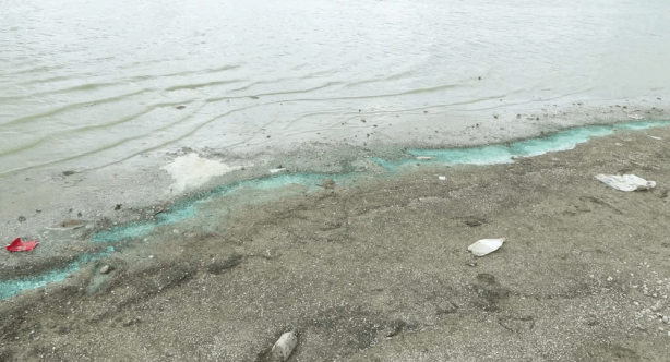 Ekrem yine uyudu! Suyun rengi değişti, balıklar ölmeye başladı! İnsanlar tedirgin