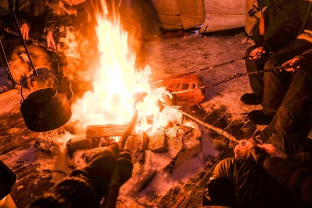 Foto - Eksi 35 derecede Ren geyiklerinin izinde