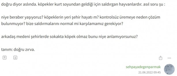 Foto - Ekşi Sözlük bile Akit’in dediğine geldi!