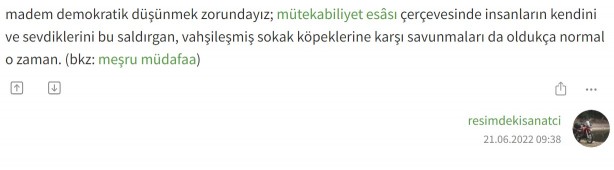 Foto - Ekşi Sözlük bile Akit’in dediğine geldi!