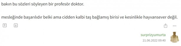 Foto - Ekşi Sözlük bile Akit’in dediğine geldi!