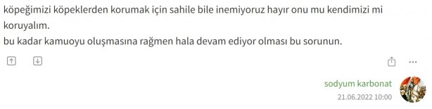 Foto - Ekşi Sözlük bile Akit’in dediğine geldi!