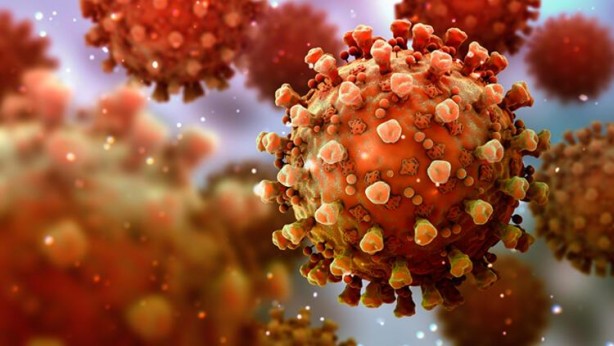 Foto - Eksikliği beyni yaşlandırıyor! Uzman isim uyardı