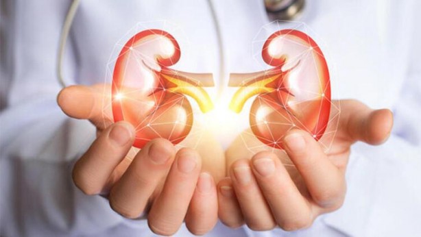 Foto - Eksikliği beyni yaşlandırıyor! Uzman isim uyardı