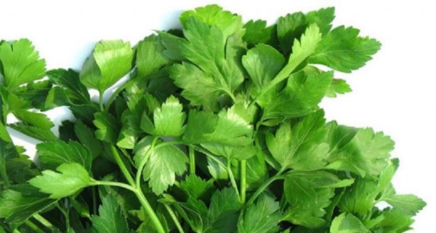 Foto - Eksikliği üreme sağlığını olumsuz etkiliyor! İşte şifalı besinler…