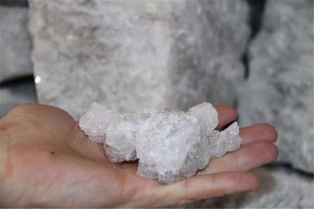 Foto - Eksikliği zeka geriliğine neden oluyor!