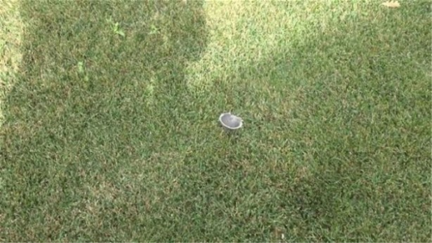 Foto - El bombasının içini açtılar!