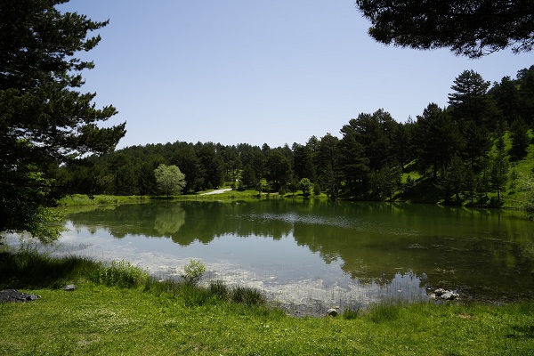 Foto - El değmemiş doğa: Limni Gölü