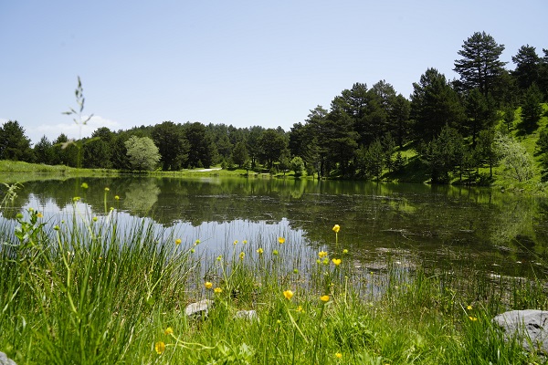Foto - El değmemiş doğa: Limni Gölü