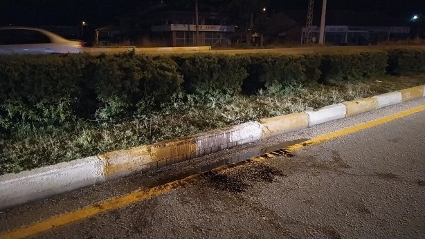 Foto - El frenini çekmedi! Refüje çıktı