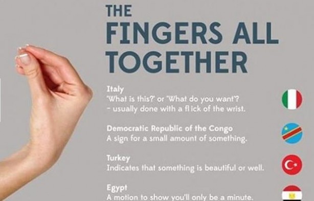 Foto - El hareketlerinin ülkelerdeki farklı anlamları