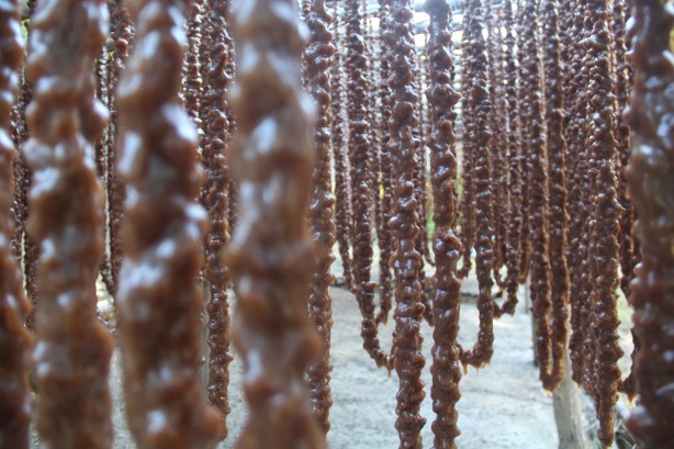 Foto - Elazığ'da üretiliyor! Hollanda, Almanya ve ABD ısrarla istiyor