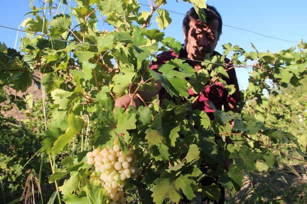 Foto - Elazığ'da üretiliyor! Hollanda, Almanya ve ABD ısrarla istiyor