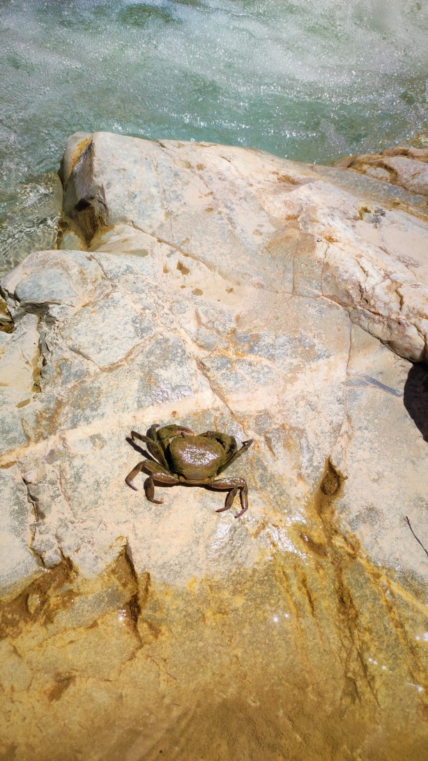 Foto - Elazığ'da uydu haritaları incelenirken keşfedildi! Tamı tamına 3 bin yıllık, herkes şaşkına döndü