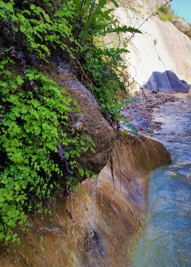 Foto - Elazığ'da uydu haritaları incelenirken keşfedildi! Tamı tamına 3 bin yıllık, herkes şaşkına döndü
