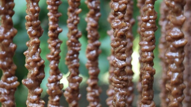 Foto - Elazığ'dan dünyaya yayılıyor! "Orcik" mesaisi! En zengin potasyum kaynağı: Türkiye'den almaya karar verdiler