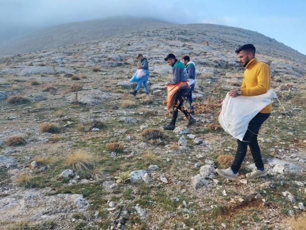 Elbistan’da, doğada bin yıl yaşayan sedir ağacı tohumları toprakla buluştu
